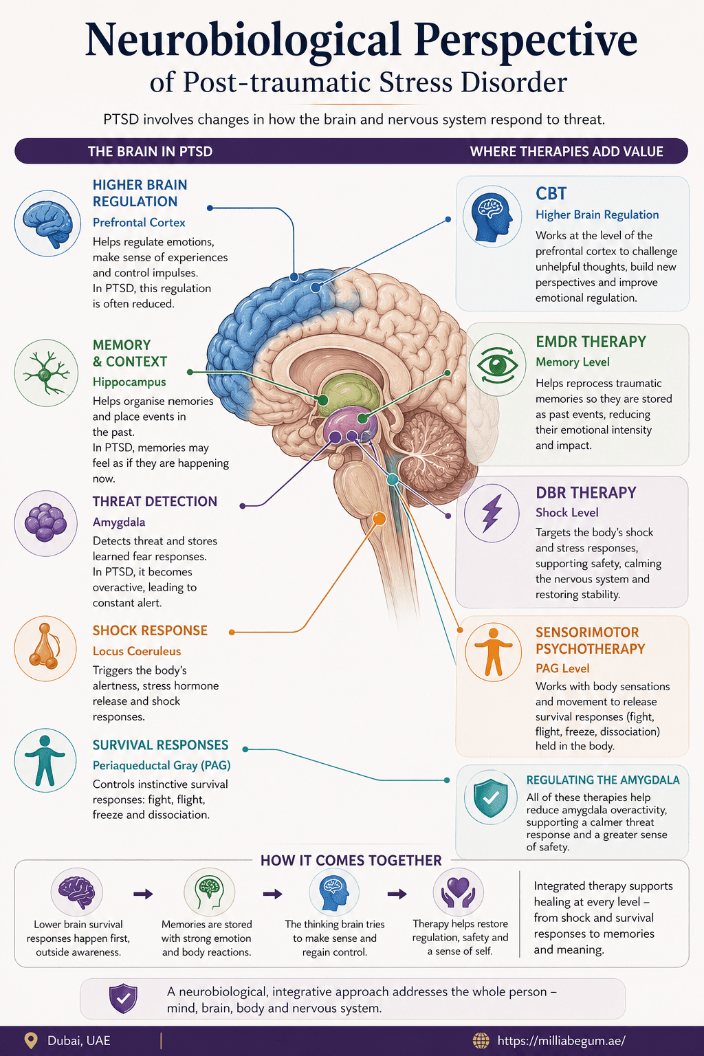 Neurobiological-targets-of-psychological-therapies